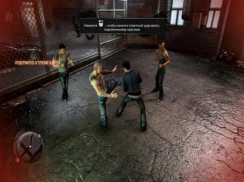 Sleeping Dogs - Limited Edition