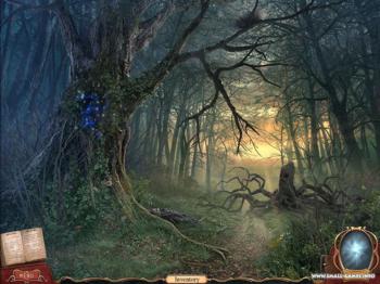A Wizard's Curse