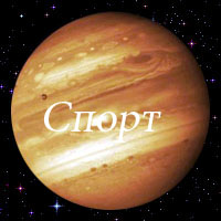 Спорт